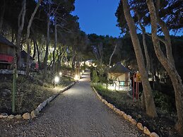 TCI Isole Tremiti