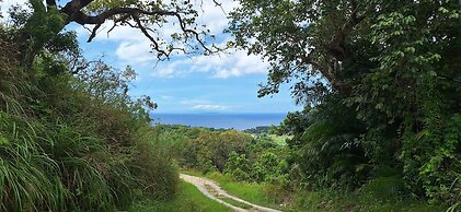 om horizon ecoresort