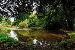 Ladye Park