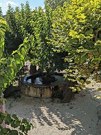 La Fontaine aux Poissons Rouges