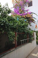 Apartments Zoki