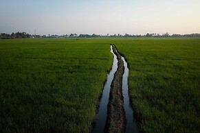Vedic Village Retreat Alleppey