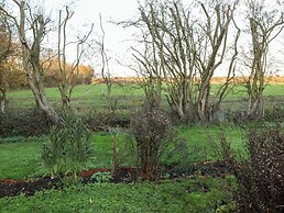 The Hare and Bumblebee Cottage
