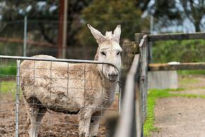 Hahndorf Farm Barn