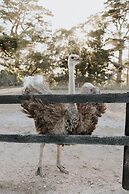 Hahndorf Farm Barn