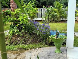 Beautiful Villa Between Jungle, sea and Mountain