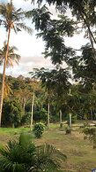 THE SUN HOMESTAY