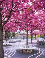 Nørrebro Flat - Live Like a Local