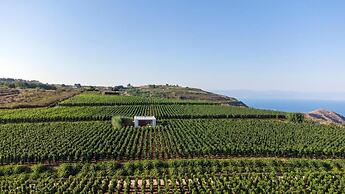 Tenuta di Castellaro Winery & Resort