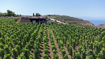 Tenuta di Castellaro Winery & Resort