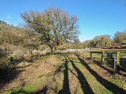 Trebah