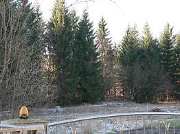 Mountain Flower Apartment