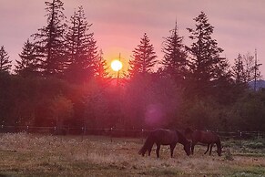 Willamette Valley Home on Working Horse Farm!