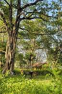 Bijrani Jungle Cottages by CYJ
