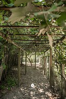 Sitio Simon - Imbituba/sc