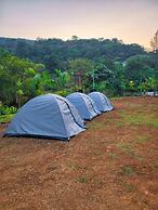 The Meadows Resorts