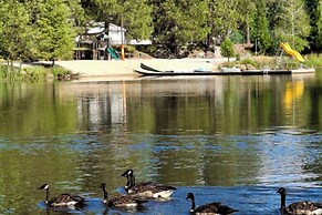1BR Dog-friendly Lakefront Cabin w/ Canoes