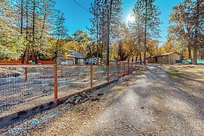 1BR Dog-friendly Lakefront Cabin w/ Canoes