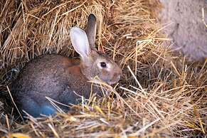 Immersi nella natura