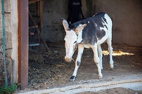 Immersi nella natura