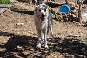 Immersi nella natura