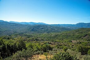 Immersi nella natura