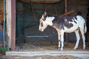 Immersi nella natura