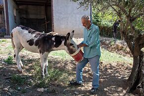 Immersi nella natura