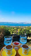 Sapanca Ada Karye Bungalov