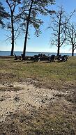 Coles Point Marina