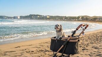 Beautiful Sea Pet-frie Pension, Yangyang