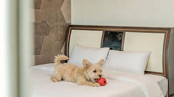 Beautiful Sea Pet-frie Pension, Yangyang