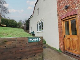The Woods