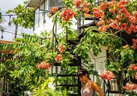 Casa Botanica