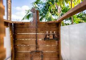 Casa Botanica