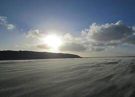 Dune Chalet Between Golf Course and Sea Beach