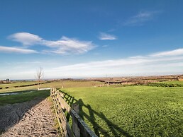 Pasture View