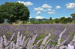 Mas de L'amme