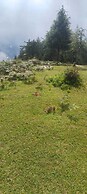 Royal Parshar Lake Home Stay