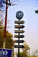 Deer Donna