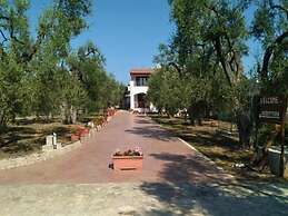 Borgo Cerasa