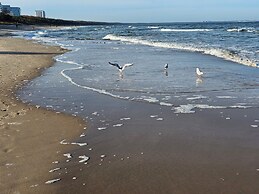 Baltic Infinity
