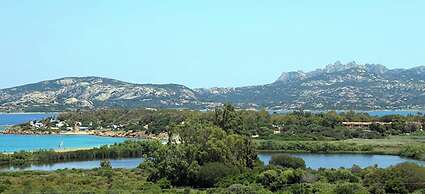 Pet-friendly Apartment in Sardinia