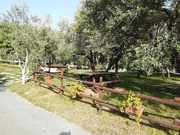 Il Mandorlo