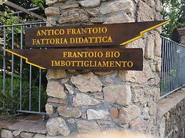 Il Mandorlo