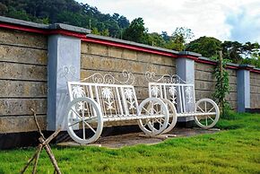Destination Code 254 Nyeri