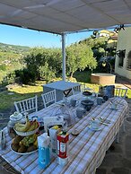 Agriturismo Cotorniano