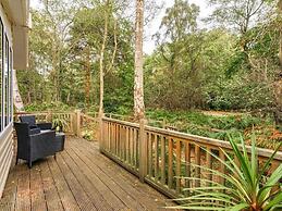 Sea Squirrel - Kelling Heath Holiday Park - 15856