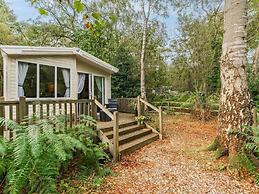Sea Squirrel - Kelling Heath Holiday Park - 15856