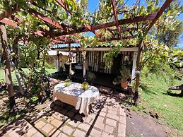 Casa Berries